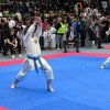 _zzzzzzzkarate__5_.jpg