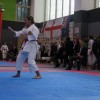 _zzzzzzzkarate__23_.jpg