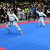 _zzzzzzzkarate__7_.jpg
