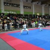 _zzzzzzzkarate__4_.jpg