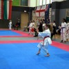 _zzzzzzzkarate__13_.jpg