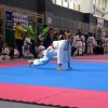 _zzzzzzzkarate__30_.jpg