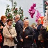 dobrovnik, dan-odprtih-vrat-ocean-orchids-tropski-vrt