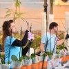 dobrovnik, dan-odprtih-vrat-ocean-orchids-tropski-vrt