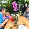 dobrovnik, dan-odprtih-vrat-ocean-orchids-tropski-vrt