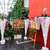dobrovnik, dan-odprtih-vrat-ocean-orchids-tropski-vrt
