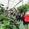 dobrovnik, dan-odprtih-vrat-ocean-orchids-tropski-vrt
