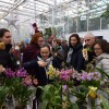 dobrovnik, dan-odprtih-vrat-ocean-orchids-tropski-vrt