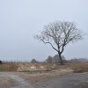 DSC_9813.JPG