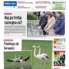 naslovnica_dl19_48.jpg