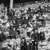 celje, arena, gledalci, tribune, mura, celje-mura