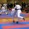 _zzzzzzzzkarate__44_.jpg