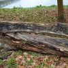 ressel_008.jpg