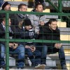 mura, bravo