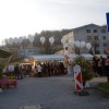 miklavz_026.jpg