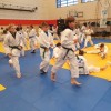 judo, klub, murska-sobota, celje