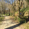 img_0933.jpg