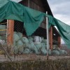 zalogdec2019_068.jpg
