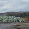 zalogdec2019_016.jpg
