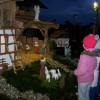jaslice, žerdin