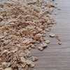OATS.jpg