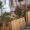 jaslice_033.jpg