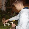 jaslice_007.jpg