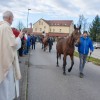 blagoslov-konj, križevci-pri-ljutomeru