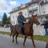 blagoslov-konj, križevci-pri-ljutomeru