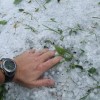 to__a_17_6_2008_dal_112.jpg