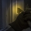burglar-1678883_1920.jpg