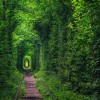 tunel.jpg