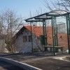 bucka_005.jpg