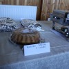 img_0251_000.jpg