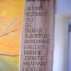 rastocai_017.jpg