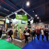 utrecht_2020__foto_polona_bubnic__2_.jpg