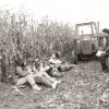 porumenela_fotografija_dl19_48.jpg