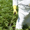 pesticidi, škropljenje.jpg