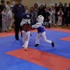 _zzzzzzzkarate__05_.jpg