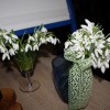 img_0662_000.jpg