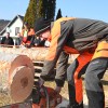 prosečka-vas, hitrostno-žaganje, metanje-motorne-žage