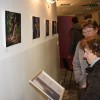 img_1350_000.jpg