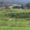 img_2013.jpg