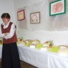 kruh__017.jpg