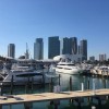miami, košarka, dončić, dragić, pomurci