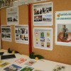 img_6308_000.jpg