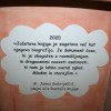 img_6315_000.jpg