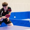 kema, ntk, ntk-kema, ntk-kema-i, puconci, ping-pong, zelena-dvorana, fužinar, ntk-inter-diskont