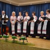 mnss, madžarski-narodni-praznik, domanjševci