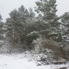 img_1824_000.jpg